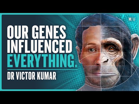 How Did Human Morality Evolve? - Victor Kumar