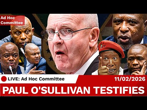 LIVE: Paul O'Sullivan Testifies at Parliament Ad-Hoc Committee