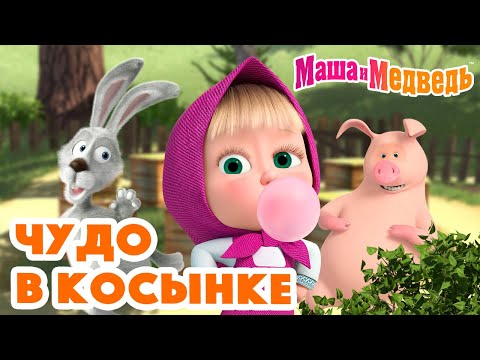 Маша и Медведь 🧞‍♀️🤪Чудо в косынке🤪🧞‍♀️ Коллекция серий про Машу 🎬