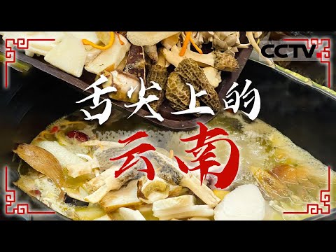 干巴菌云腿炒饭 见手青红烧肉 云南咖啡......这就是云南味 探秘彩云之南的味蕾盛宴——舌尖上的云南【CCTV纪录】