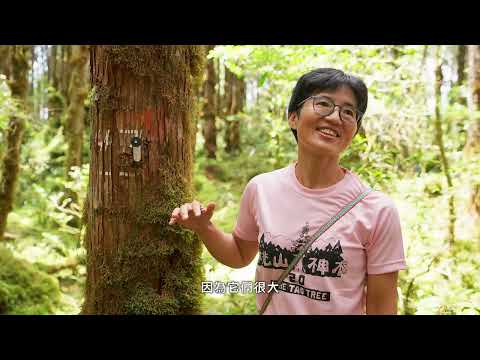 臺灣的樹我來護【紀錄短片】桃山神木 2.0 山林守護計畫