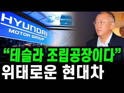 "현대차, 이대로면 테슬라 조립공장 됩니다" 자율주행 못 만드는 현대차. 이대로면 위태롭다