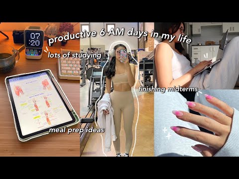 STUDY VLOG | 6 AM productive days in my life | final exam prep, staying motivated & new recipes