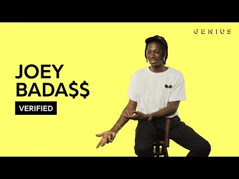 Joey Bada$$ "Survival Tactics" Official Lyrics & Meaning | Verified