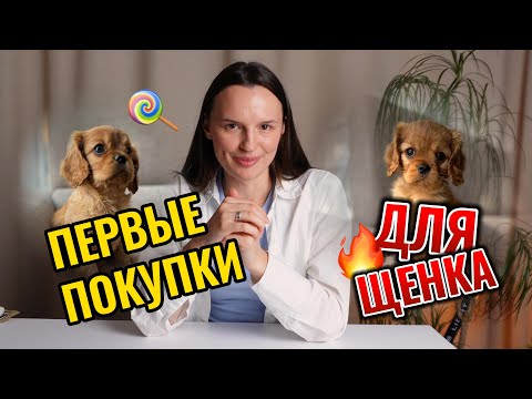 У НАС БУДЕТ ЩЕНОК| показываю первые покупки для щенка| КАВАЛЕР КИНГ ЧАРЛЬЗ СПАНИЕЛЬ