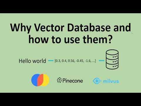 Mastering Vector Databases & Embeddings (OpenAI embedding and Chroma vector database)