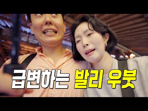 2025년 현재 발리 우붓 상황 알려드릴게요