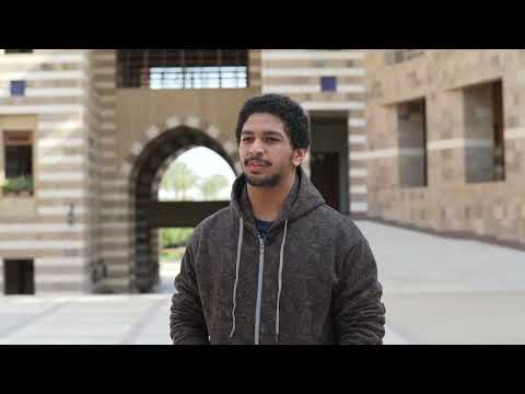 The Psychology of Sustainability in Dahab