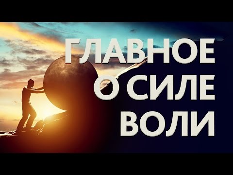 СИЛА ВОЛИ: КАК УСТРОЕНА И КАК ЕЮ УПРАВЛЯТЬ? | IQ