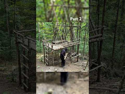 Building a Bushcraft Treehouse | Part 2 #building #survival #bushcraft