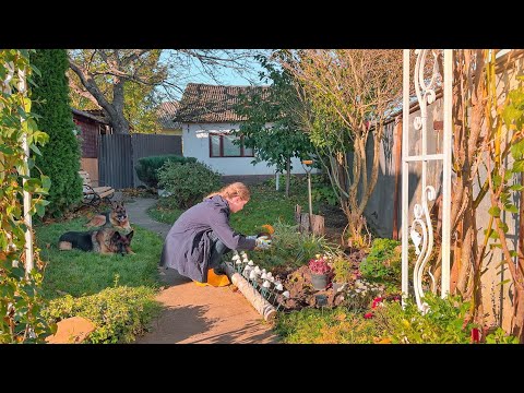 Escape into Cozy Countryside Living | Let’s Find Joy in Simple Days: Cottagecore Garden & Cooking