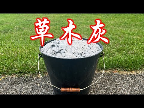 【庭院种菜】怎么烧制用不完的草木灰？