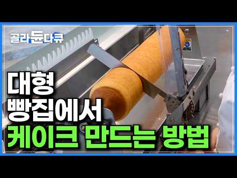 주말 방문객만 2,000명! 대형 빵 매장에서 케이크 만드는 방법｜제빵사들이 매일 쉼 없이 구워내는 빵 종류만 100여 가지｜일반 빵집에선 보기 힘든 특수가마｜극한직업｜#골라듄다큐