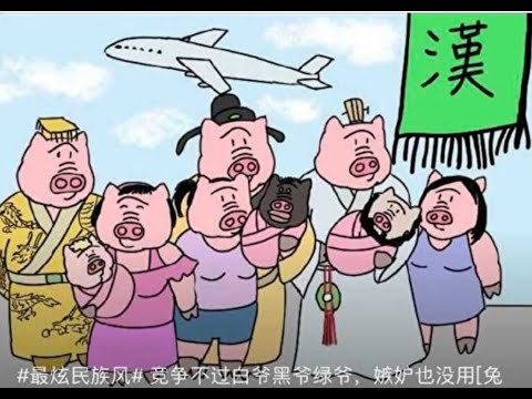 习近平治下，画个猪头居然要坐牢｜成为老王来了的会员