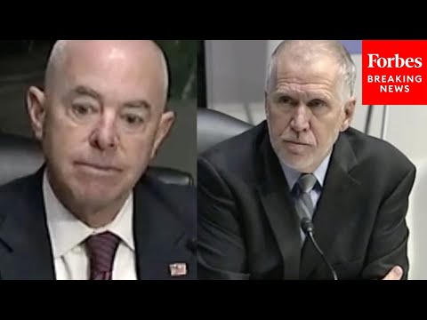Thom Tillis Directly Confronts Alejandro Mayorkas With Number Of People Dying Trying To Enter The US