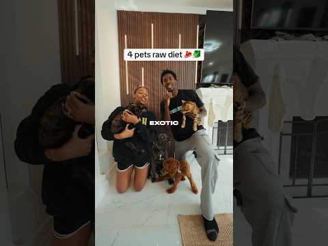 Raw Diet For 4 Exotic Pets!