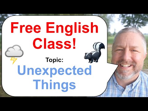 Free English Class! Topic: Unexpected Things! 🌩️🦨💵