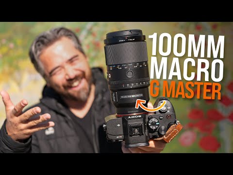 Sony 100mm f/2.8 Macro GM Review: It's GREAT!