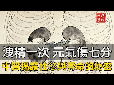 洩精一次，元氣傷七分,中醫揭露：性慾與壽命的秘密！#修行思維#福報 #禪   #開悟 #禅修#易經 #國學智慧 #國學 #人生感想 #因果