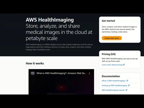 Analyze DICOM Files in AWS Using HealthImaging, Python & Bedrock AI
