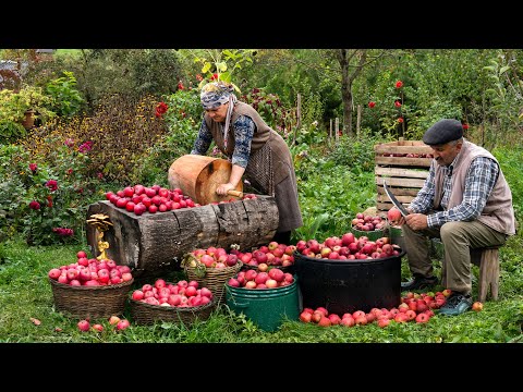 Sweet Taste of Fall 🍎🍁 | Apple Harvest & Homemade Syrup 🍂