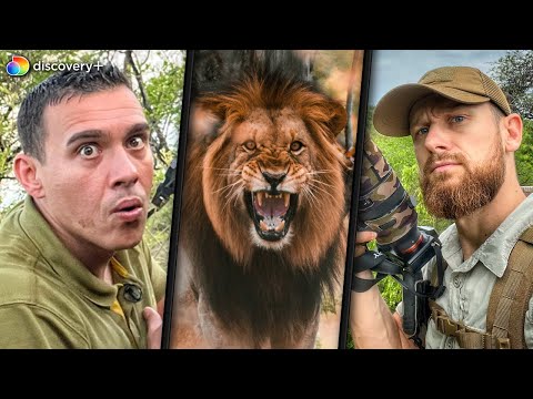 Kontakt mit Löwen 🇿🇦 Mit Survival Mattin in Südafrika | Teil 2