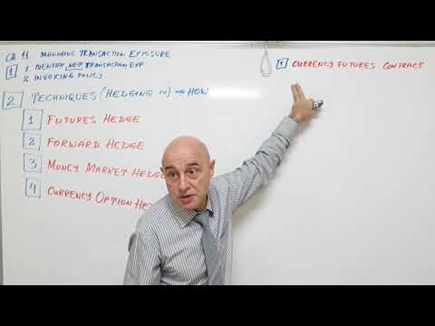 International Finance - Lecture 19