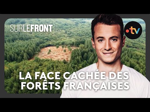 La face cachée des forêts françaises - Sur le front avec Hugo Clément 26 février 2024