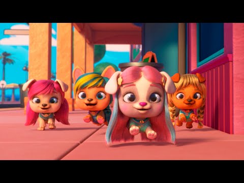 🍿 SEASON 1 COMPLETE 🙌🏻 VIP Pets 🌈 Cartoons for Kids | PWR CLUB