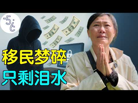 移民加拿大, 也许是我这辈子最大的错误!