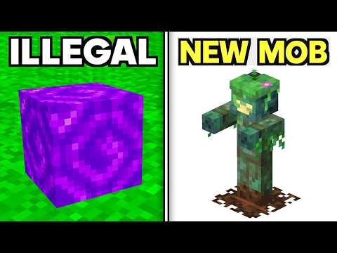 202 Minecraft Things You Didn't Know Existed
