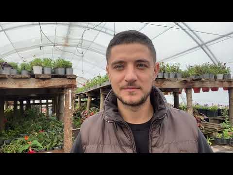 Мои главные ошибки в тепличном бизнесе. Делюсь НЕуспехами и неудачами.