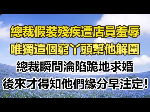 總裁假裝殘疾遭店員羞辱，唯獨這個窮丫頭幫他解圍，總裁瞬間淪陷跪地求婚，後來才得知他們緣分早注定！#幸福敲門 #為人處世 #生活經驗 #情感故事