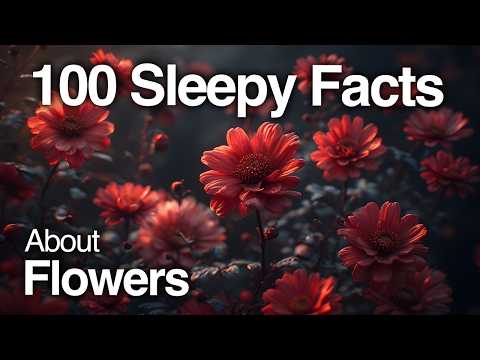The Most Relaxing Facts About Flowers to Fall Asleep To