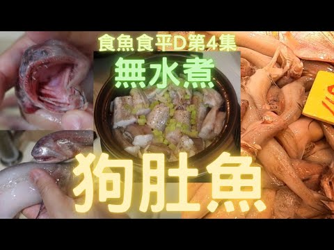 教你點揀點劏靚狗肚魚👍此魚水份極多,可以做個無水煮狗肚😍又香又滑豆腐一樣😍食魚食平D第4集~fish cutting 香港海鮮~社長遊街市(Hong Kong Seafood Market)