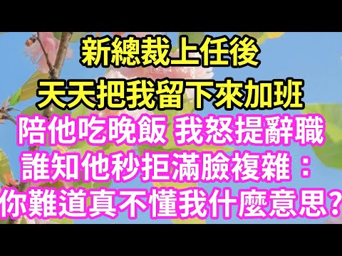 新總裁上任後天天把我留下來加班陪他吃晚飯 我怒提辭職誰知他秒拒滿臉複雜：你難道真不懂我什麼意思?#現言#總裁#甜文#故事 #言情#一口氣看完