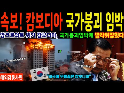 대한민국 대반격! 태국-캄보디아 전면전 이후, 한국무기 200기에 캄보디아 초토화된 이유 [해외감동사연]