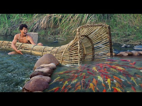 survival in the rainforest, using Rattan to lure fish, Catch fish using big traps