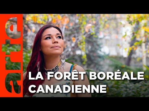 Canada - La voie des ancêtres | Gardiens de la forêt | ARTE
