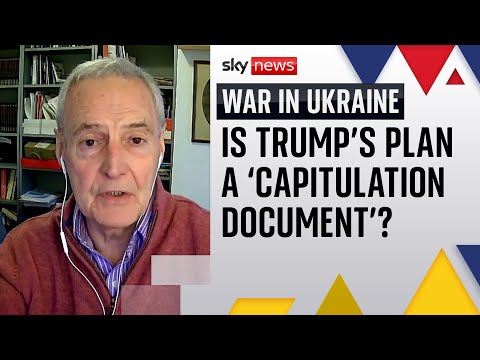 Analysis: It's Trump vs the world on 28-point peace plan - with maybe only Moscow on his side