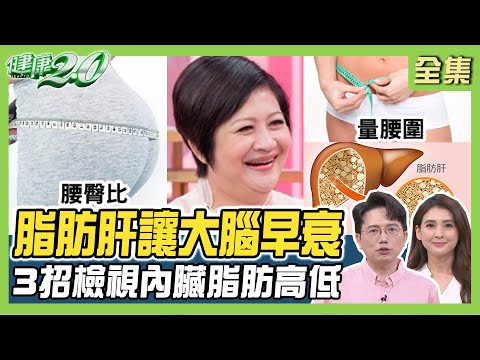 崔佩儀體脂51%中度脂肪肝剷肉18kg！BMI超過35 脂肪胰致胰臟癌風險46%！ 健康2.0 20231001【完整版】江坤俊 韋汝 錢政弘 吳明珠 劉怡里 陳少偉 潘瑋翔@tvbshealth20