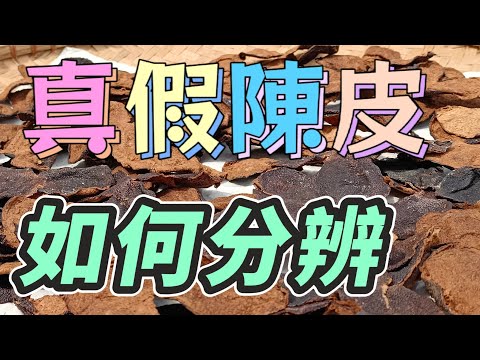 【真假陳皮】真假陳皮的鑒別方法？正宗老陳皮如何分辨真假？