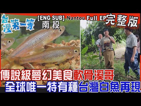 [全新] 南投【傳說美食"軟骨溪哥"全球唯一"台灣白魚"再現！/茭白筍不是筍？染菌變身美人腿/「最享受市場」隨時鬆一下，埔里特有"涼圓、肉圓"吃了得良緣！】│2023.10.15│《台灣第一等》完整版
