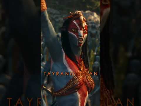 Why Neytiri doesn't ride an Ilu or a Skimwing and only sticks to her mountain banshee who's nameless