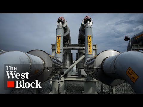 What sets Newfoundland's LNG plans apart from those in BC?