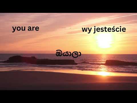 let's see how to use the verb TO BE with personal pronouns..| learn polish with thenna