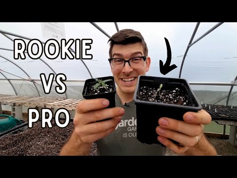 The Difference Was SHOCKING (Rookie Vs. Pro Seed Starting)