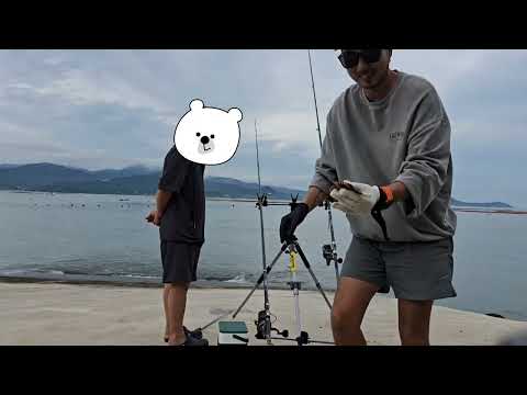 전남권 감성돔 참돔탐사 원투낚시