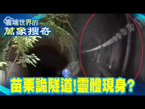 Miaoli's Haunted Tunnel: Sunlight Never Touches This Place—Is a Terrifying Spirit Appearing?