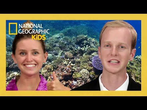 Coral Reef Crazy | Weird But True Full Episode | @natgeokids